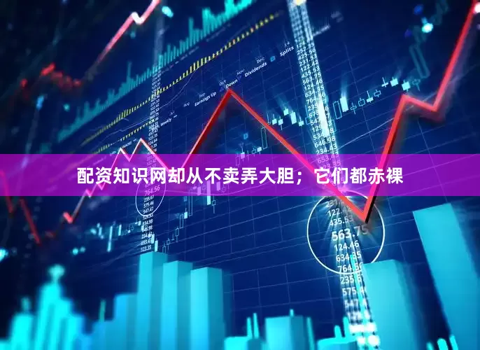 配资知识网却从不卖弄大胆；它们都赤裸