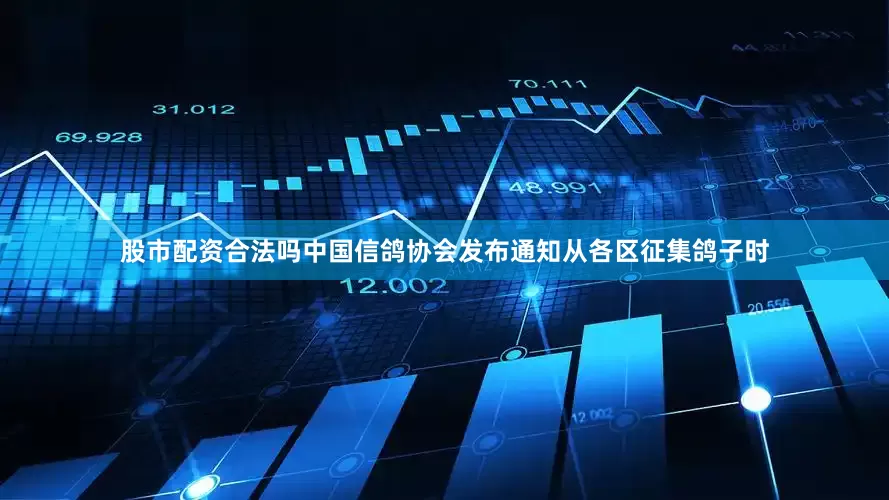 股市配资合法吗中国信鸽协会发布通知从各区征集鸽子时